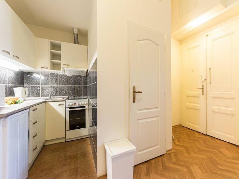 Apartment Neklanova 9