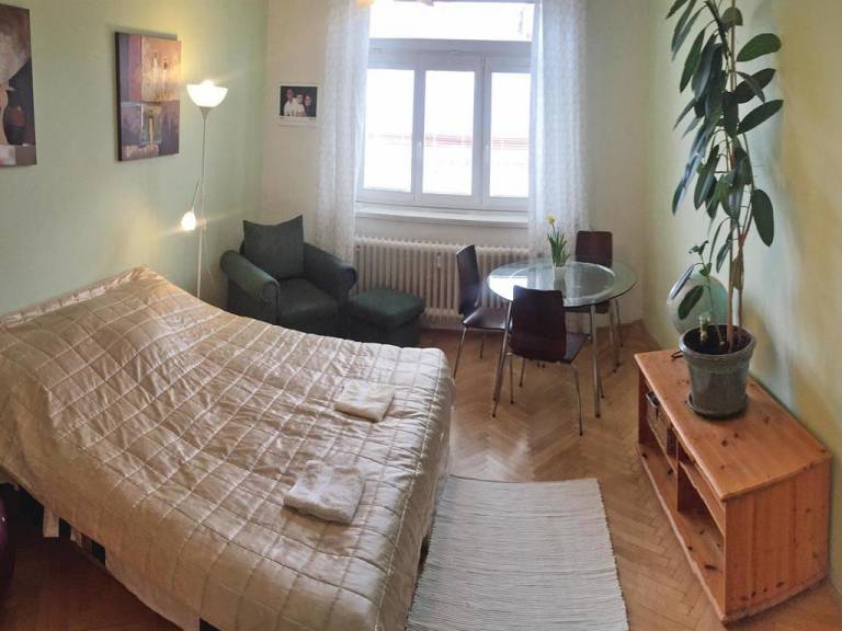 Apartment Praha 3