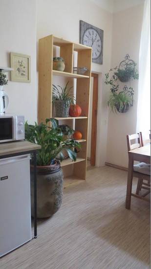 Apartment Down Town Чехия, Прага