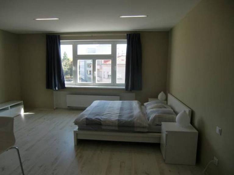 Apartment Podebrady