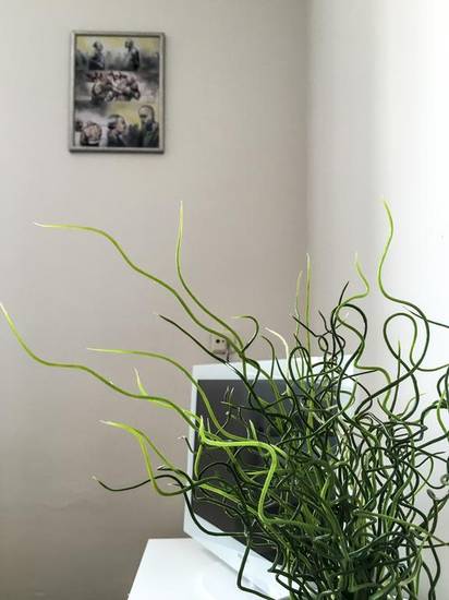 Cosy Flat Pisek Downtown Чехия, Писек