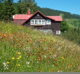 Отдых в Pension Skalicky - Чехия, Пец Под Снежкой