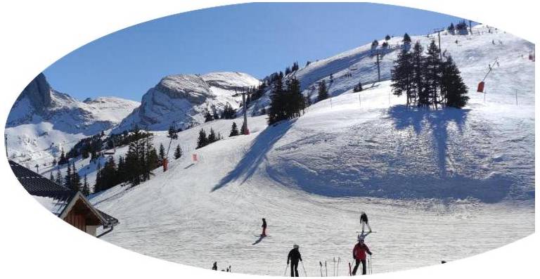 Studio pied des pistes