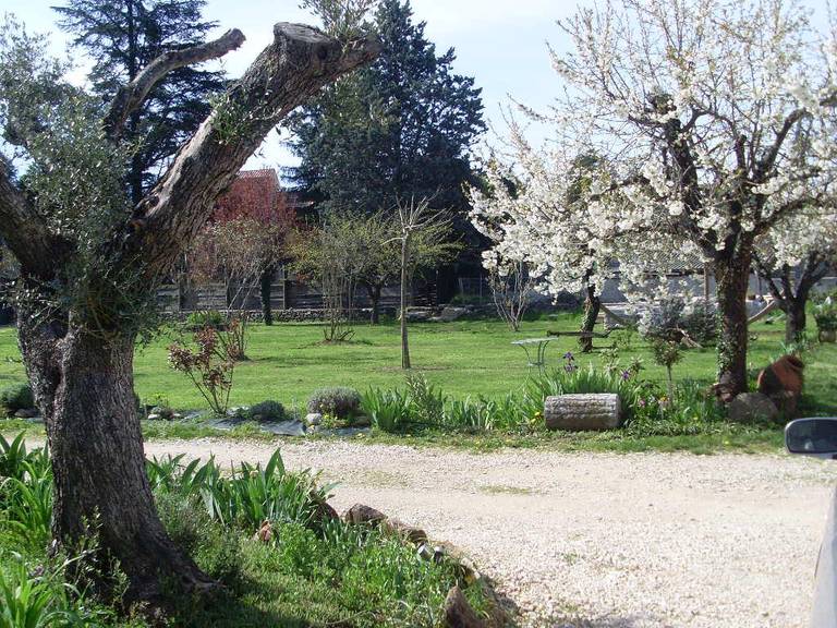 L'Olivier Chez Mame Marthe