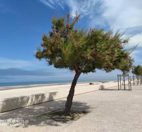 Joussac Cote Plage в Сулак-сюр-Мере