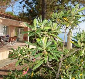 Туры в Residence de tourisme Le clos des Vendanges в Франции