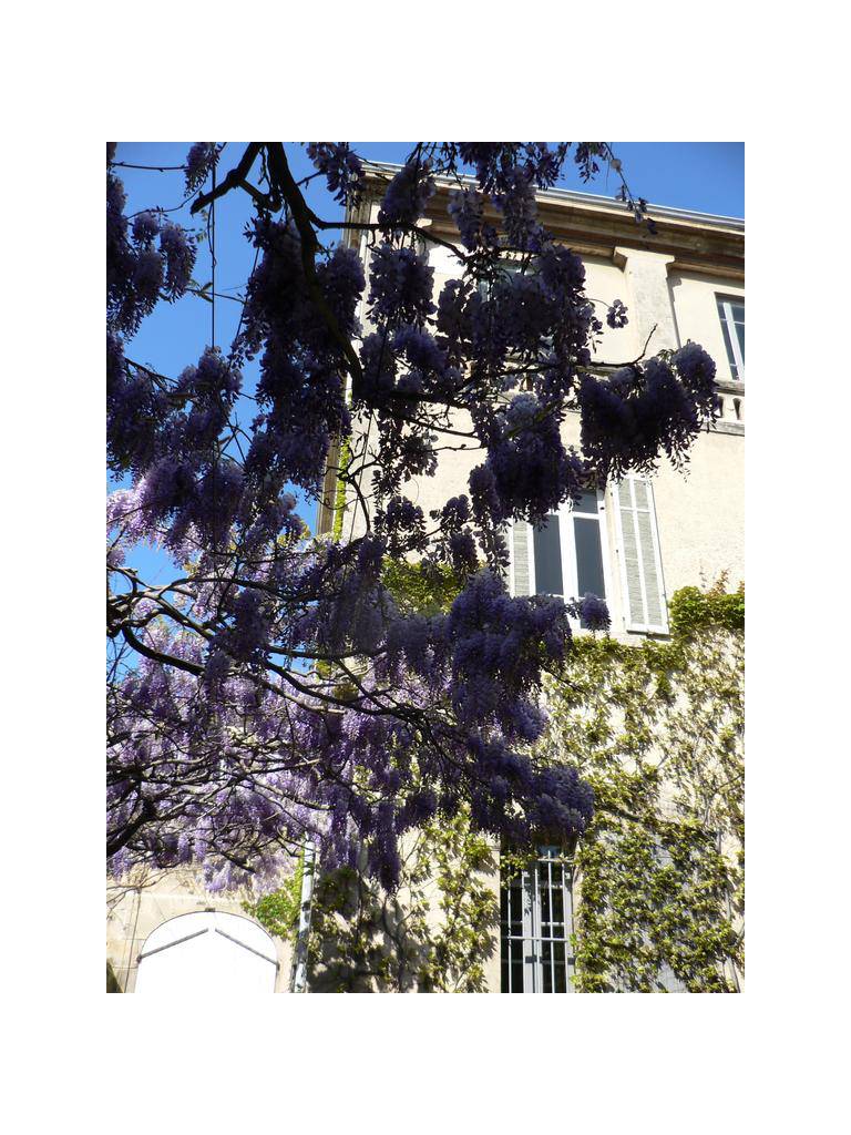Chambres d'hotes Maison Auguste