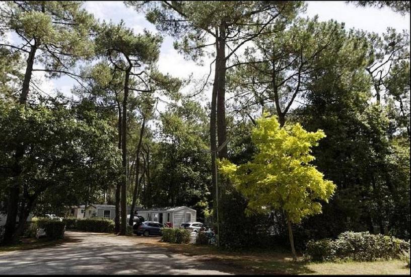 Vacances yes We Camp Les Biches 5* Франция, Сент-Илер-де-Рье