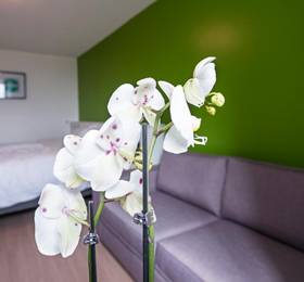 Отдых в Hotel Les Poteaux Carres - Франция, Сент-Этьен