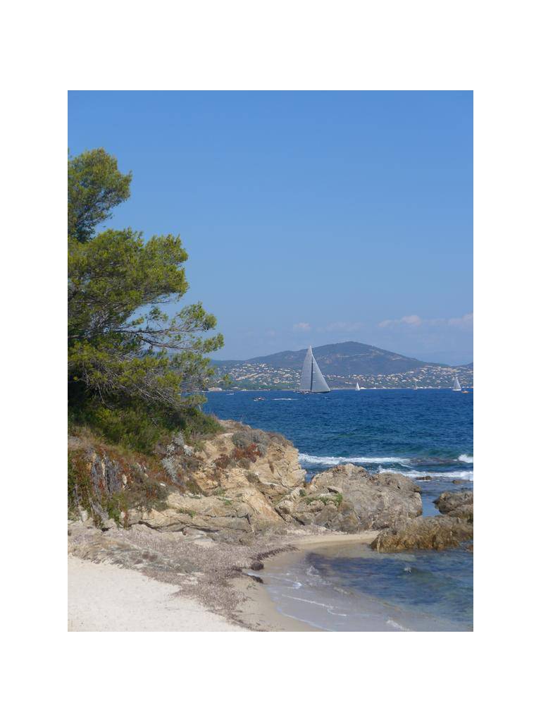 UNIQUE PEID DANS LEAU ! Au coeur de la Cote d'Azur, a deux pas du front de mer
