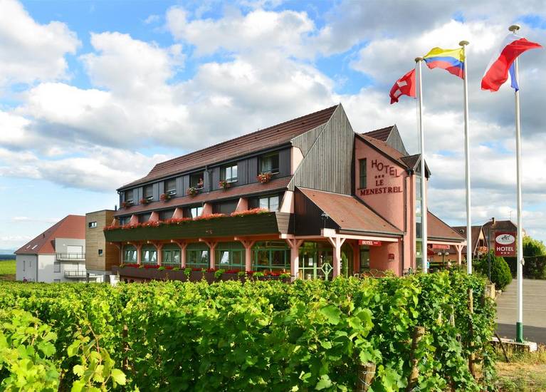 Hotel Le Menestrel 3* Франция, Рибовиль