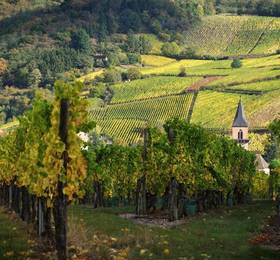 Отдых в Gite Au Coeur De Ribeauville - Франция, Рибовиль