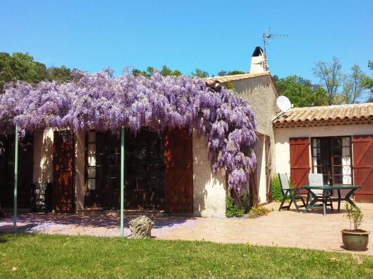 Mas des Vignes