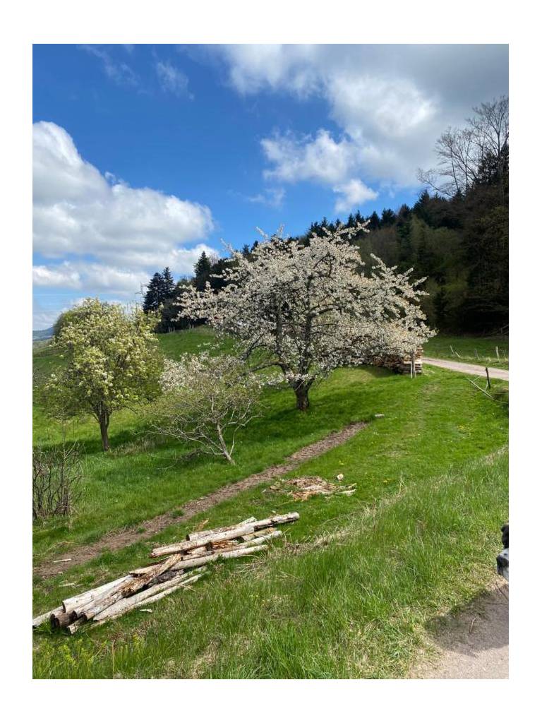 Le Domaine De Pairis