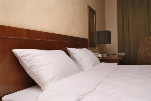 Sligo City 3* Ирландия, Слайго