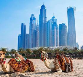 Al Habtoor Grand Resort, Autograph Collection в Дубае