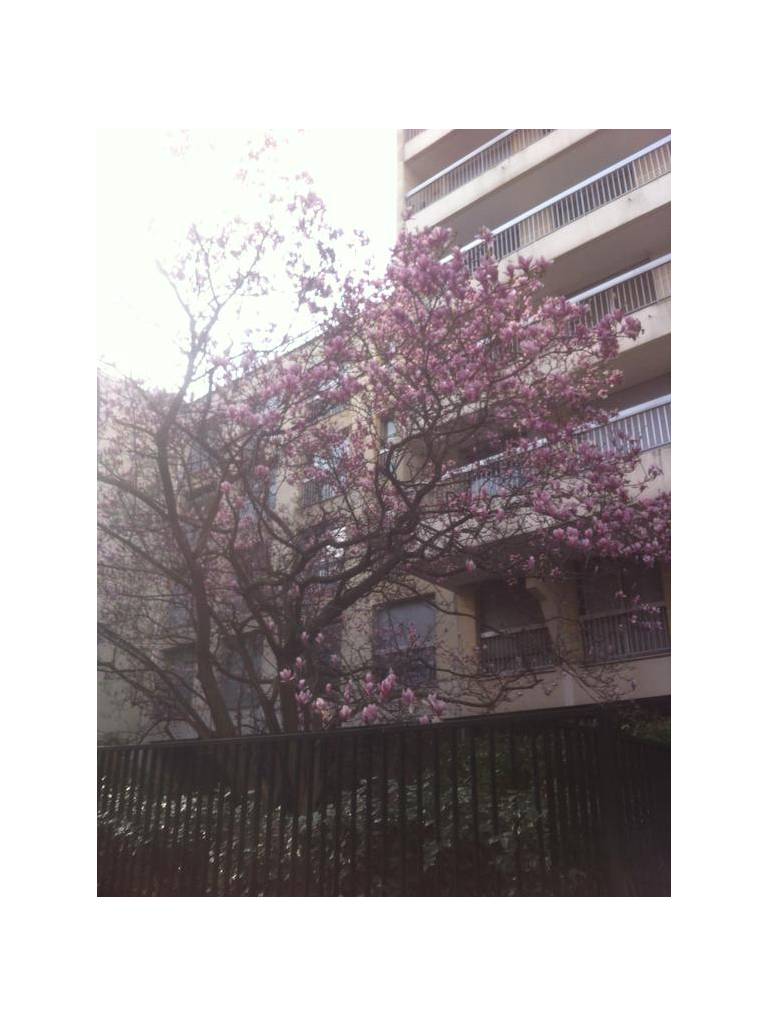 Chambres d'Hotes Chez Berenice