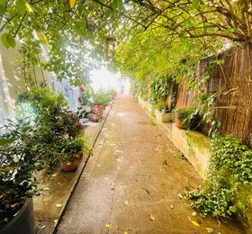 Туры в Le Jardin croix Roussien в Франции