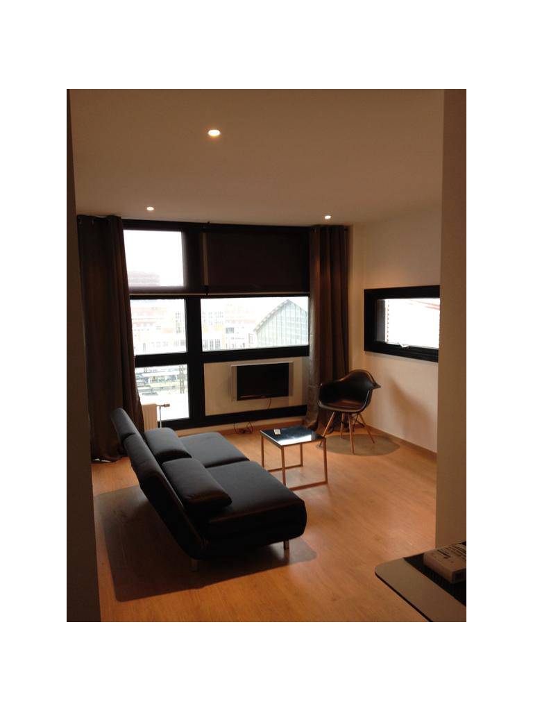 Appartement Gare Lille Europe