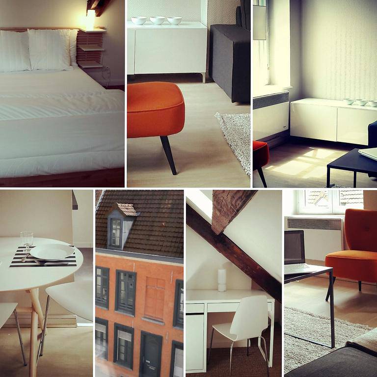 Appartements Lille Centre Ville