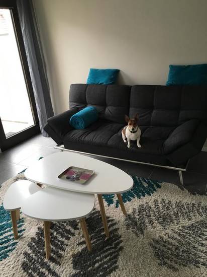 Chien Et Chat Франция, Ле-Туке-Париж-Пляж