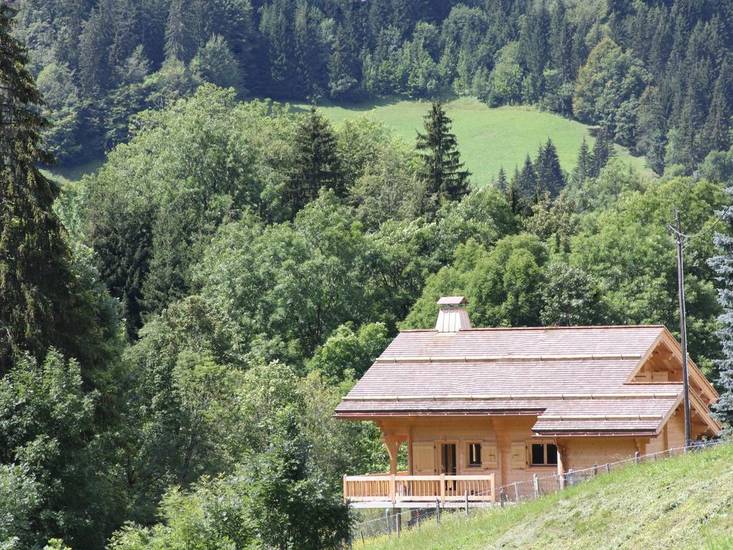 Chalet Le Chevreuil Франция, Ле-Гран-Борнан