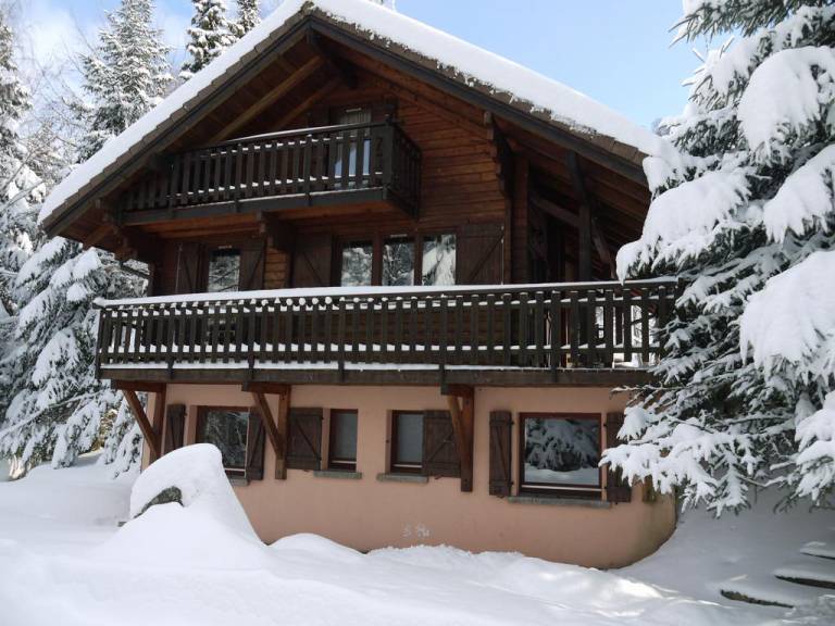 Chalet individuel en Madrier Vologne 5 chambres