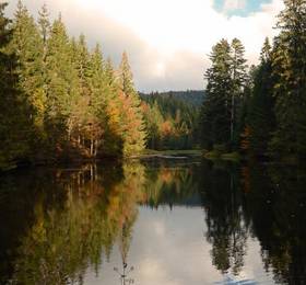 Отдых в Brabant - Франция, Ла-Бресс