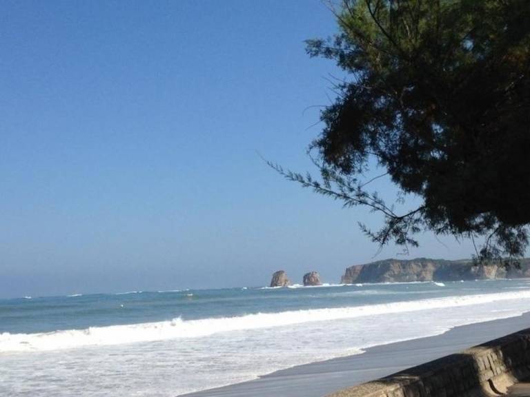 Rental Apartment Begonia 2 - Hendaye
