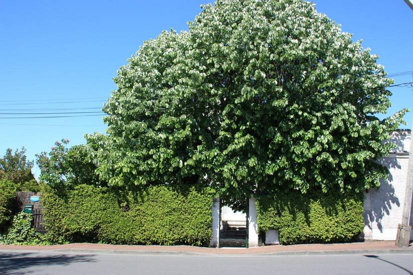 Jardins en Ville Франция, Коньяк