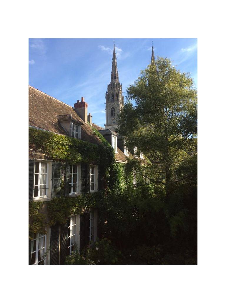 Le Jardin Cathedrale