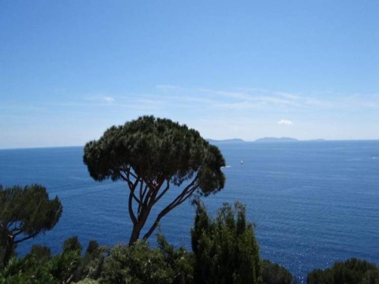 Rental Apartment Vigie