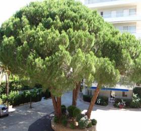 Туры в Rental Apartment Pavois в Франции
