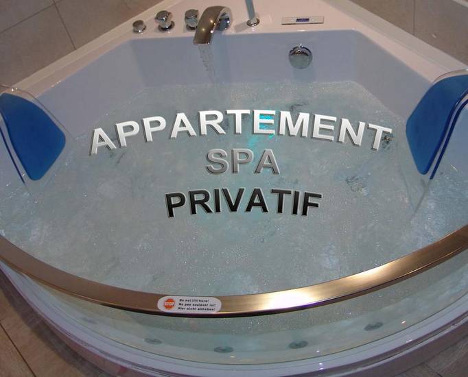 Appart Spa coeur de Beaune Франция, Бон