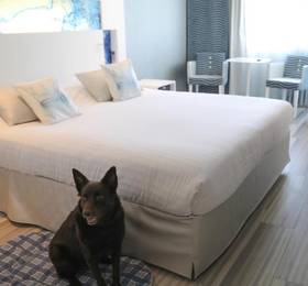 Hotel Josse в Антибе