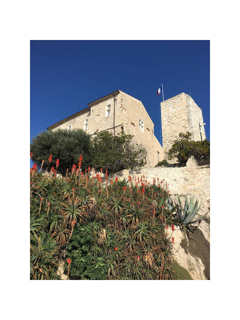 Cap Antibes Les Bosquets