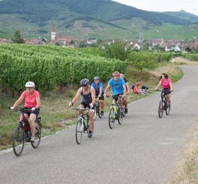Туры в Gite Le Merle в Франции