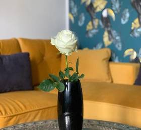 Private Cocooning Flat в Провансе