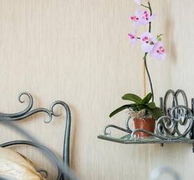 Туры в NEW apartment on Lenina 3 в Беларуси