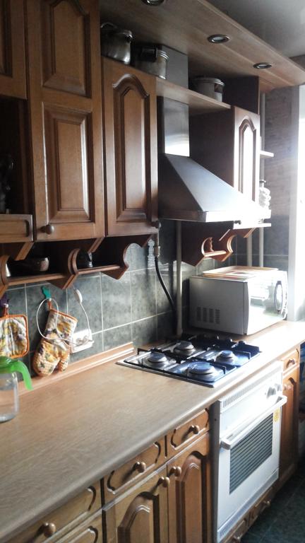 Apartment Chkalova 9/2