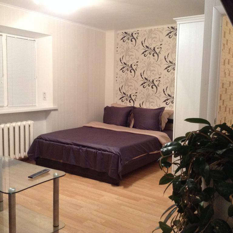 Apartment on Krasnaya 17a