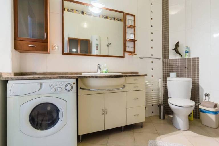 Apartment Lux