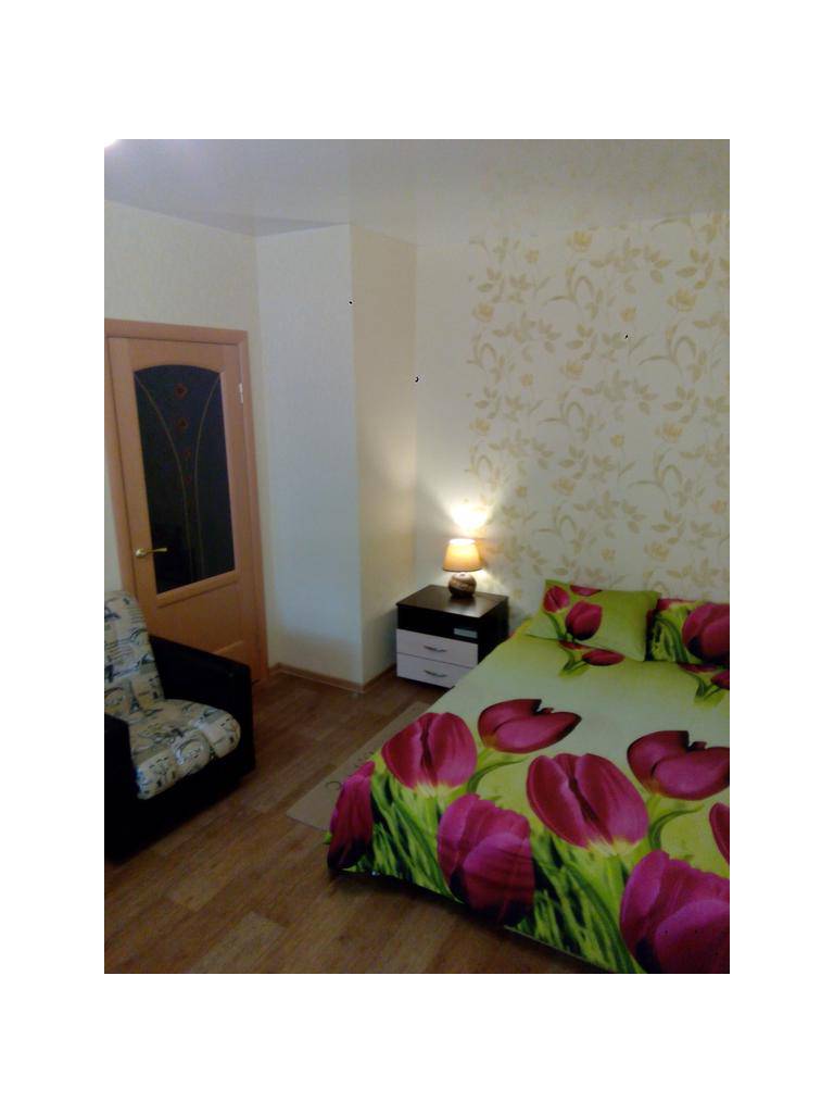 Apartment on Kirova street 46