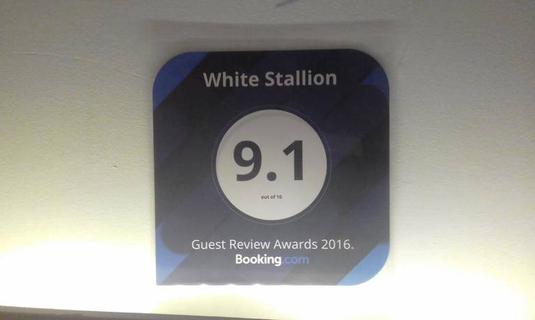 White Stallion