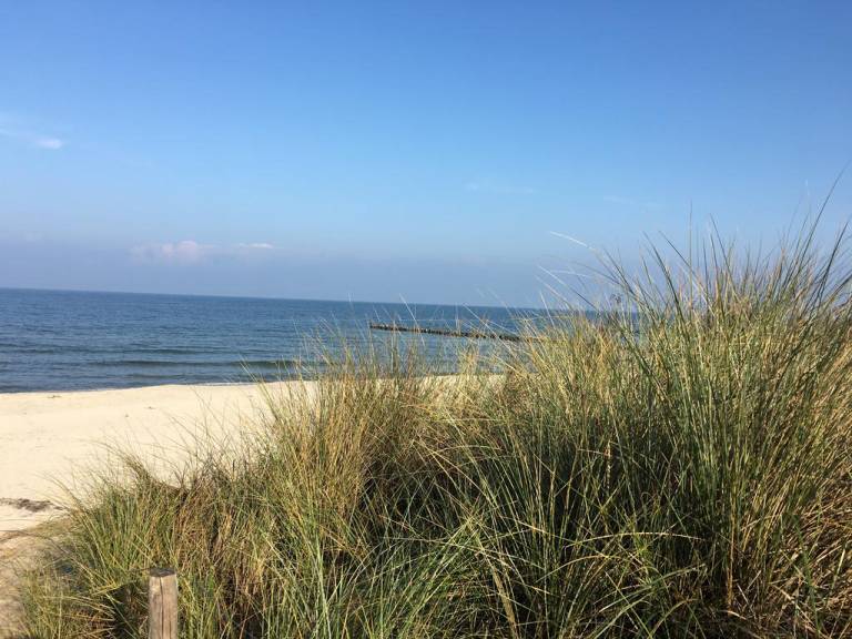 TraumPier