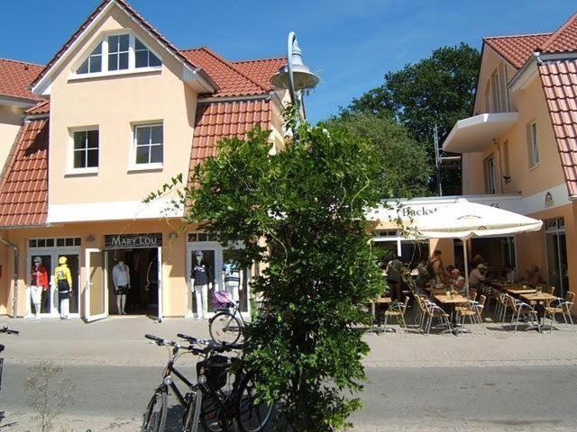 Zingst-2-Zi-Ferienwohnung-SEEWOLF
