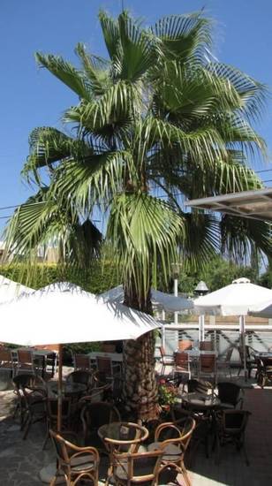 Valsami Hotel Apartments 4* Греция, Родос