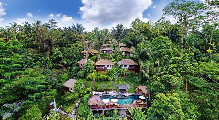 Nandini Jungle by Hanging Gardens