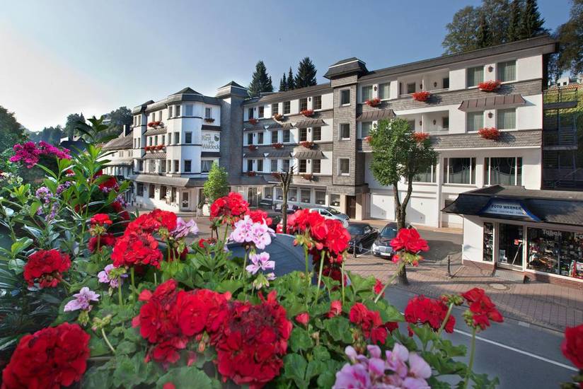 Hotel Furst von Waldeck 3* Германия, Виллинген