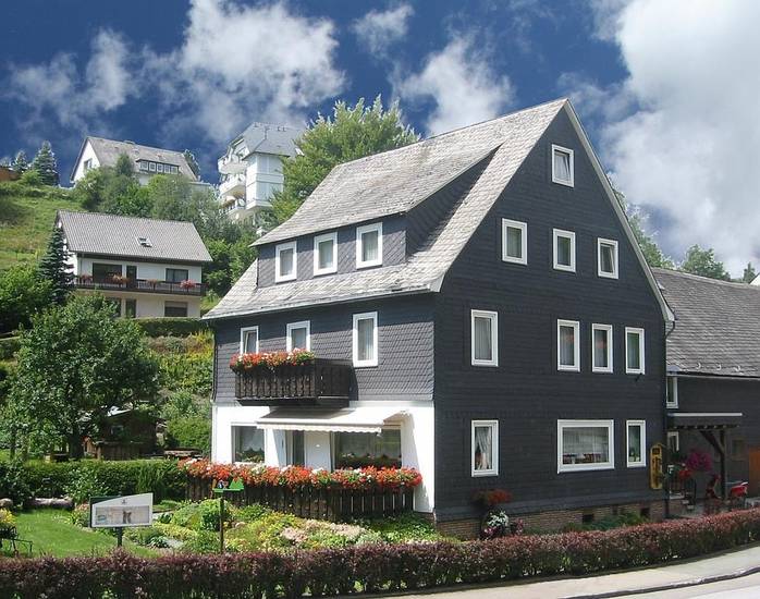 Pension Schaferhaus 3* Германия, Виллинген